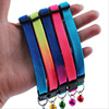 Pet colorful item traction rope dog colorful traction rope ring cat and dog neck ring traction band of pet supplies