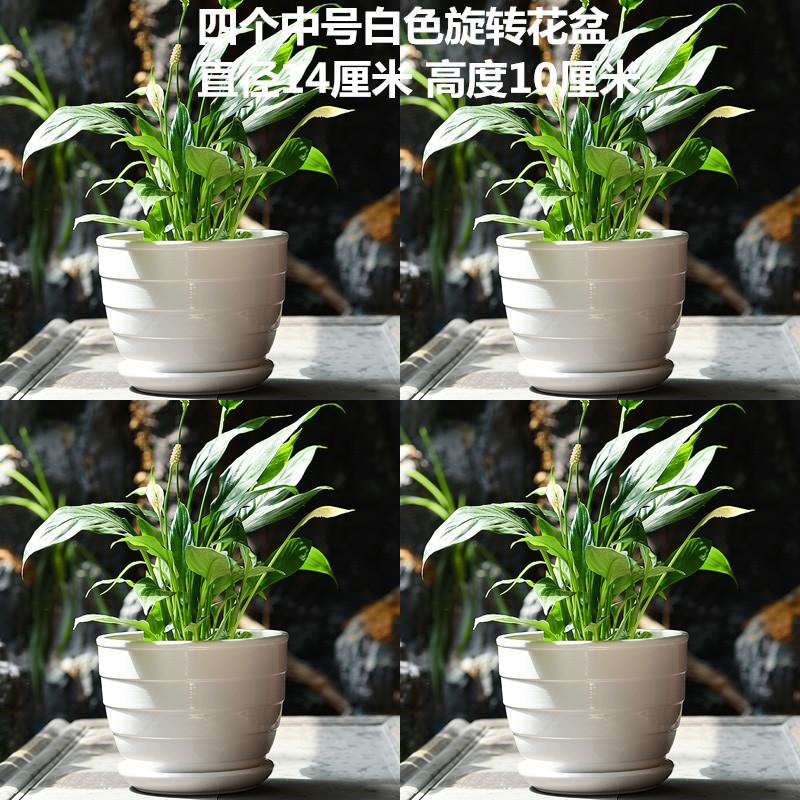 DSC_6130副本_副本.jpg