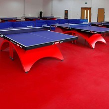 艾琪爾 紅色網格紋4.5mm防滑耐磨阻燃靜音 乒乓球pvc運動塑膠地板