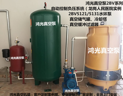 鸿光2BV水环式真空泵组客户定制真空泵深圳真空泵广东真空泵