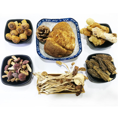 东北猴头菇养胃汤 药膳同源骨头汤滋补 食疗养生汤包广东煲汤料|ms