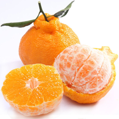 招水果代理丑橘不知火丑八怪新鲜桔子非耙耙柑现摘现发一件代发