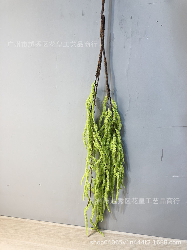 新建文件夹 (2)IMG_3806 副本.jpg