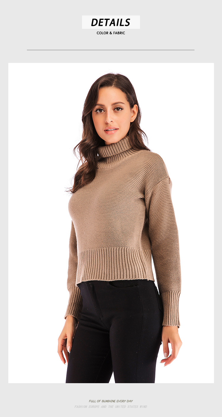 autumn and winter casual turtleneck sweater  NSJR17228