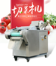 银鹰YQC-QJ660I商用多功能不锈钢食堂切菜机蔬菜切丝机切片机厂家