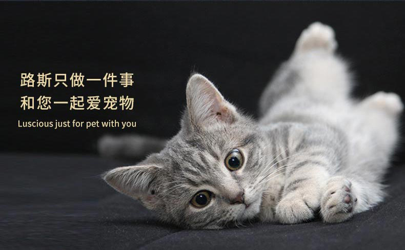 猫饼干80g_13.jpg