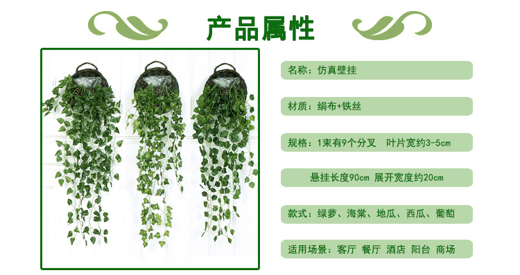 绿萝壁挂详情_02