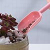 New succulent tools, succulent plant planting tools, plastic gardening, two -piece spatter shovel moving seedlings, seedlings