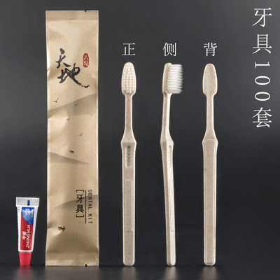 hotel disposable toothbrush toothpaste Soft fur Teeth Two-in-one Homestay Toiletries suit wholesale customized