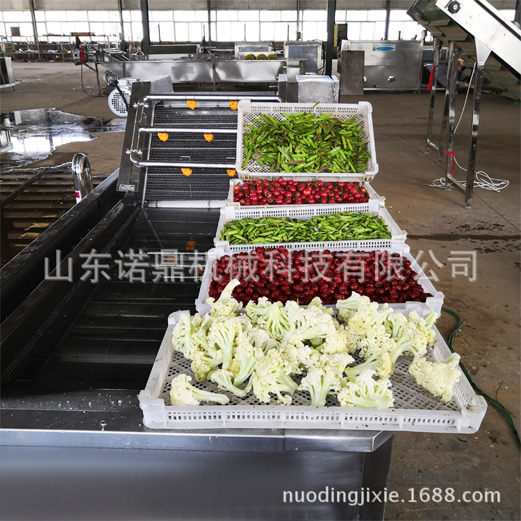 净菜清洗加工流水线 净菜清洗机 蔬菜翻浪清洗设备 厂家直销 加工