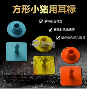 ��С�i���ζ���ĸ�i�����M��TPU��˹���Բ��τ����ҧ�������B