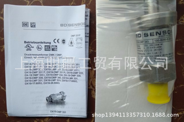 DX19-DMP 343 全新正品 BD 德国博德 100-S250-E-3-M10-300-1-000