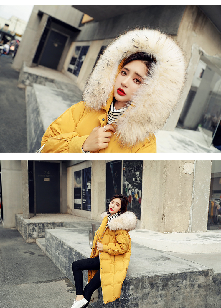 HN6A7557_02
