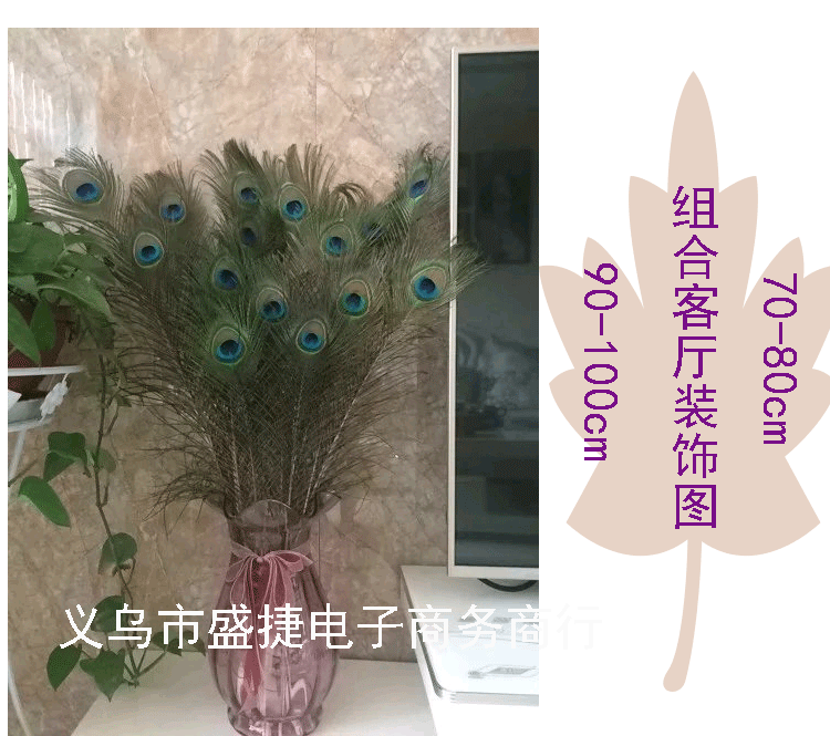 孔雀毛详情页_06