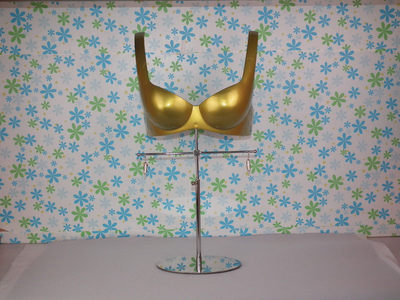 full set Bracket Magic price 80 element Showcase Bras Display rack Luxury gold color Bras Exhibition Display rack