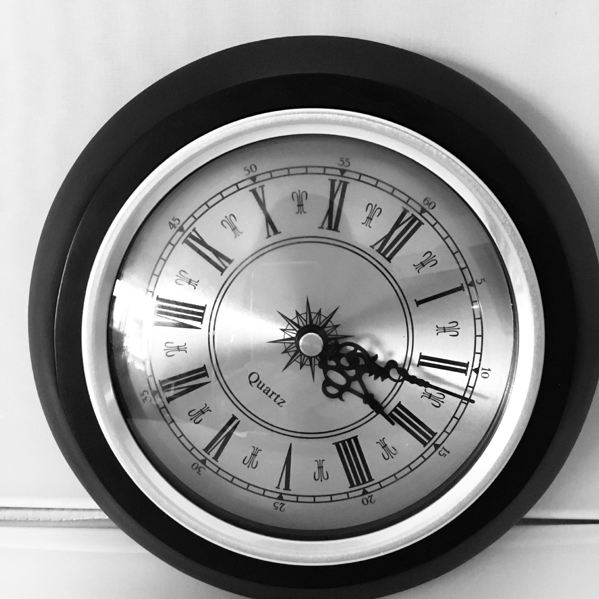 新拍的图片IMG_1077