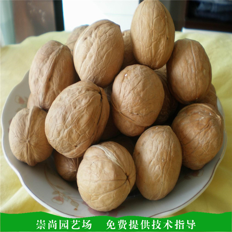9508130_s1.jpg