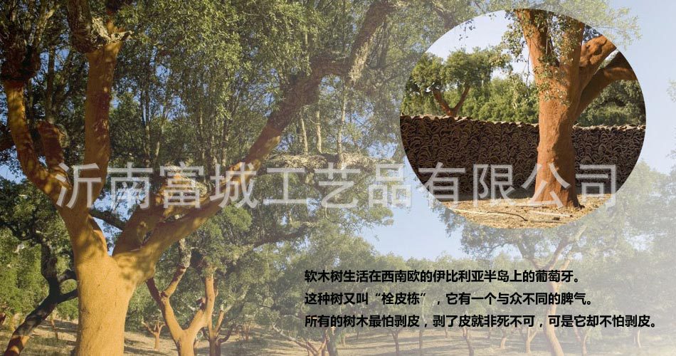 2035312973_171273734