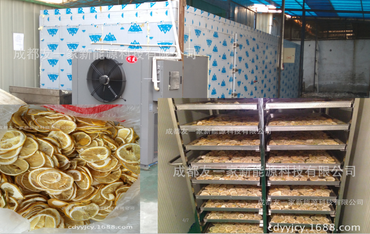 海南柠檬果脯烘干机芒果烘干设备柠檬片烘干房高温热泵烘干