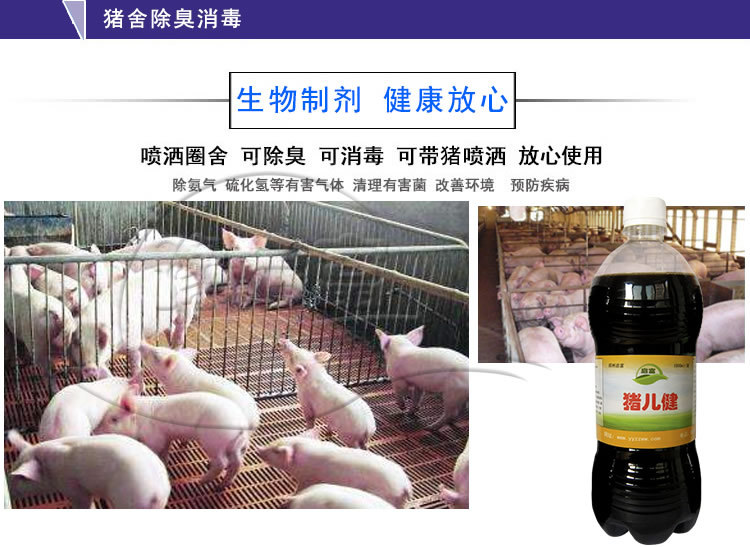 猪舍除臭消毒