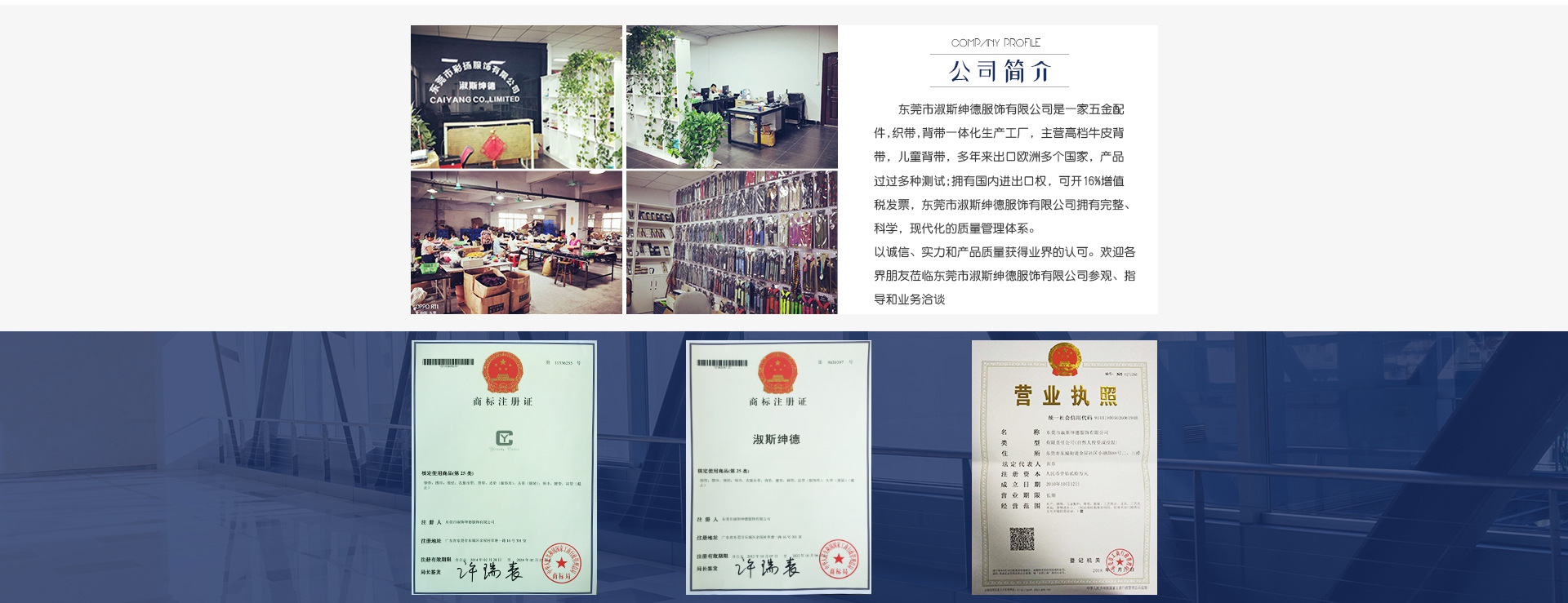 淑斯绅德首页---副本_13