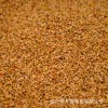 Huangguzi wholesale miscellaneous grain, bird food parrot, valley feed with shell Xiaomi