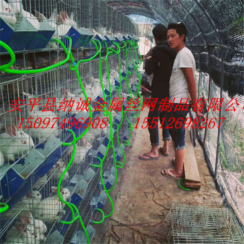 兔籠9_副本
