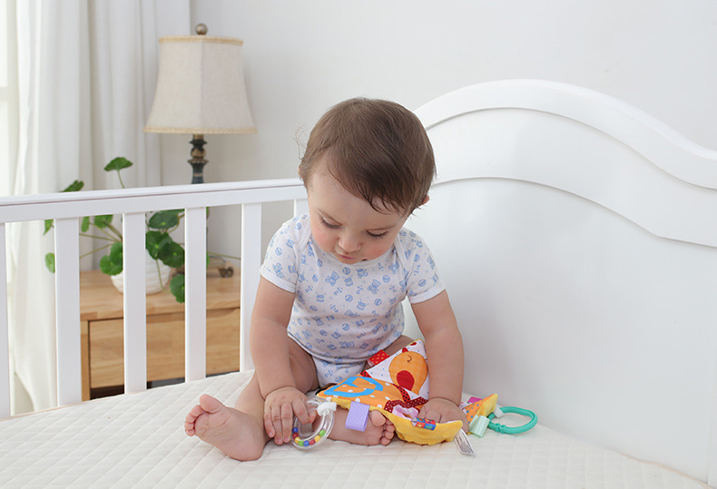 8832570162_1760842305