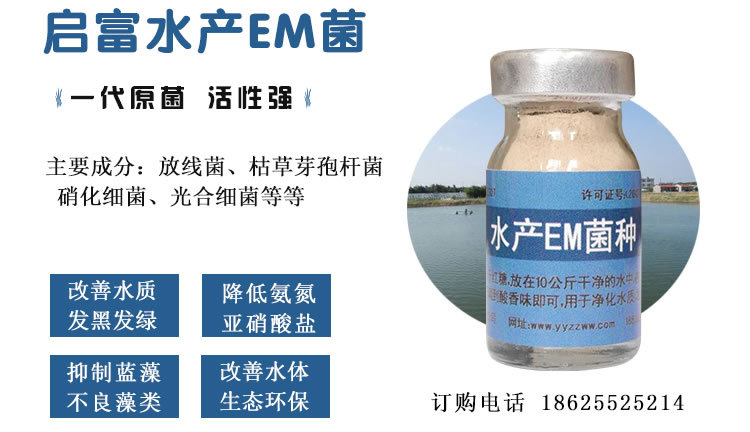 水产EM菌种养虾专用