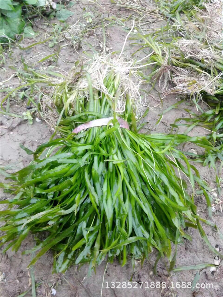 微信图片_20171203124010