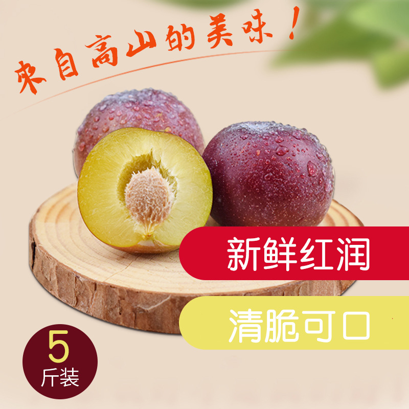 四川李子水果新鲜茂县汶川李子红脆李爽口脆李现摘现发5斤包邮|ms