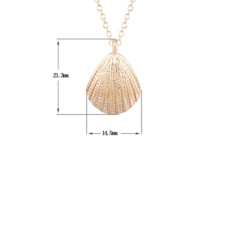 Marine Life Scallop Conch Shell Pendant Necklace Gold And Silver Female Clavicle Chain Wholesale display picture 8