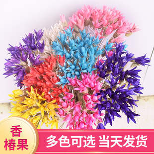 �S�ҹ������m���㴻���ɻ� ���愓��ɻ� ��������r�л����l