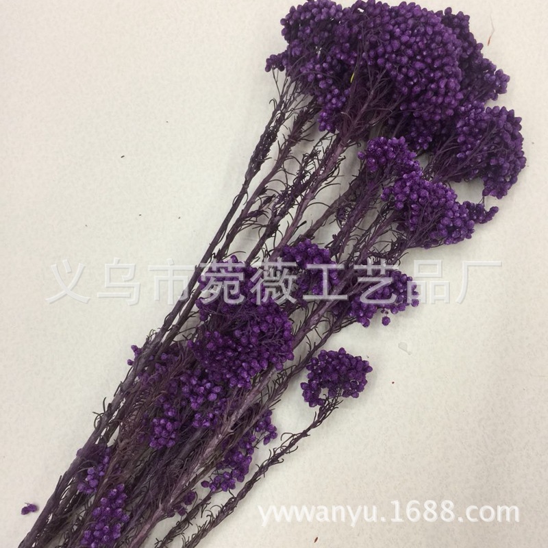 微信图片_20180126225623_副本