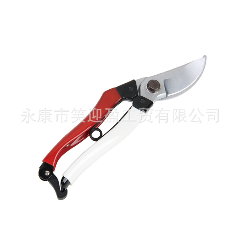 8寸园林剪刀树枝剪蔬菜水果花盘盆栽修剪工具整枝剪65猛钢剪树枝