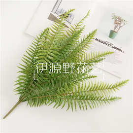 蕨草波斯叶蕨仿真草植物墙配材羊齿蕨波斯草绿景装饰山蕨批发