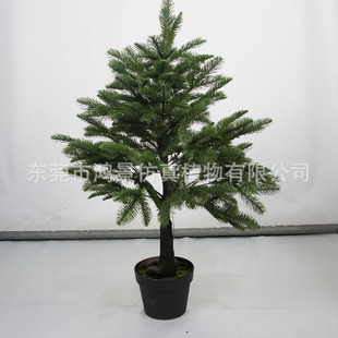 ���W�b�ɼ��|ݸ�Ҿӷ���ɼ��S���̈��k���ҾGֲ�����辰�����