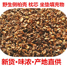 �Ȱؚ��ӹ���ؚ�����ɽ��ȻҰ���Ȱر��������^��о���|�������