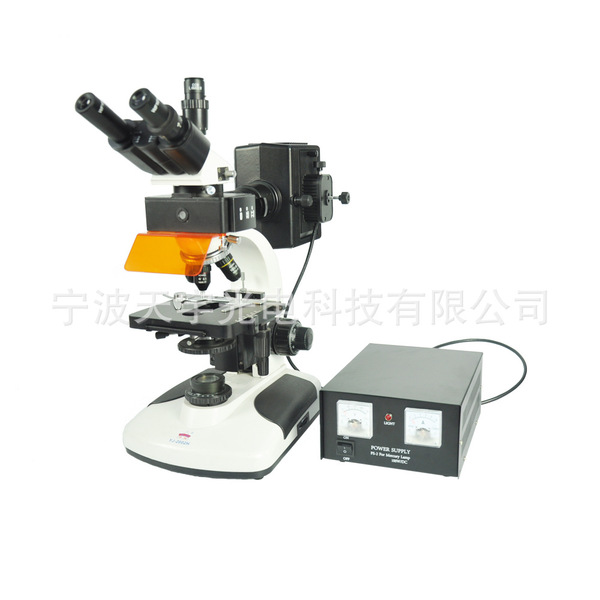 Professional fluorescence unlimited two-color microscope