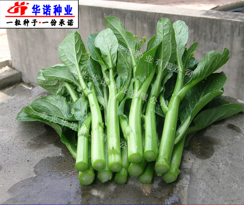 八桂种苗（874473）：近来与北京林业大学签署了《授权运营合同