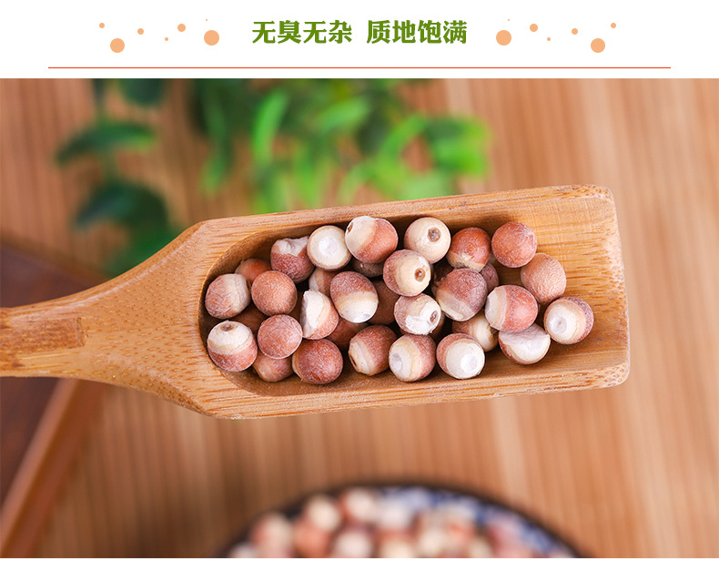 Dried Red Skin Gorgon Fruit Qian Shi 500g Whole Euryale Seeds for Cooking and Congee specifications