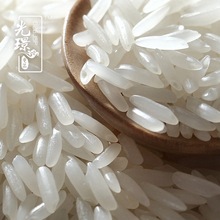 泰國茉莉香米10KG金百合20斤正品長粒香進口大米原裝非轉基因特產