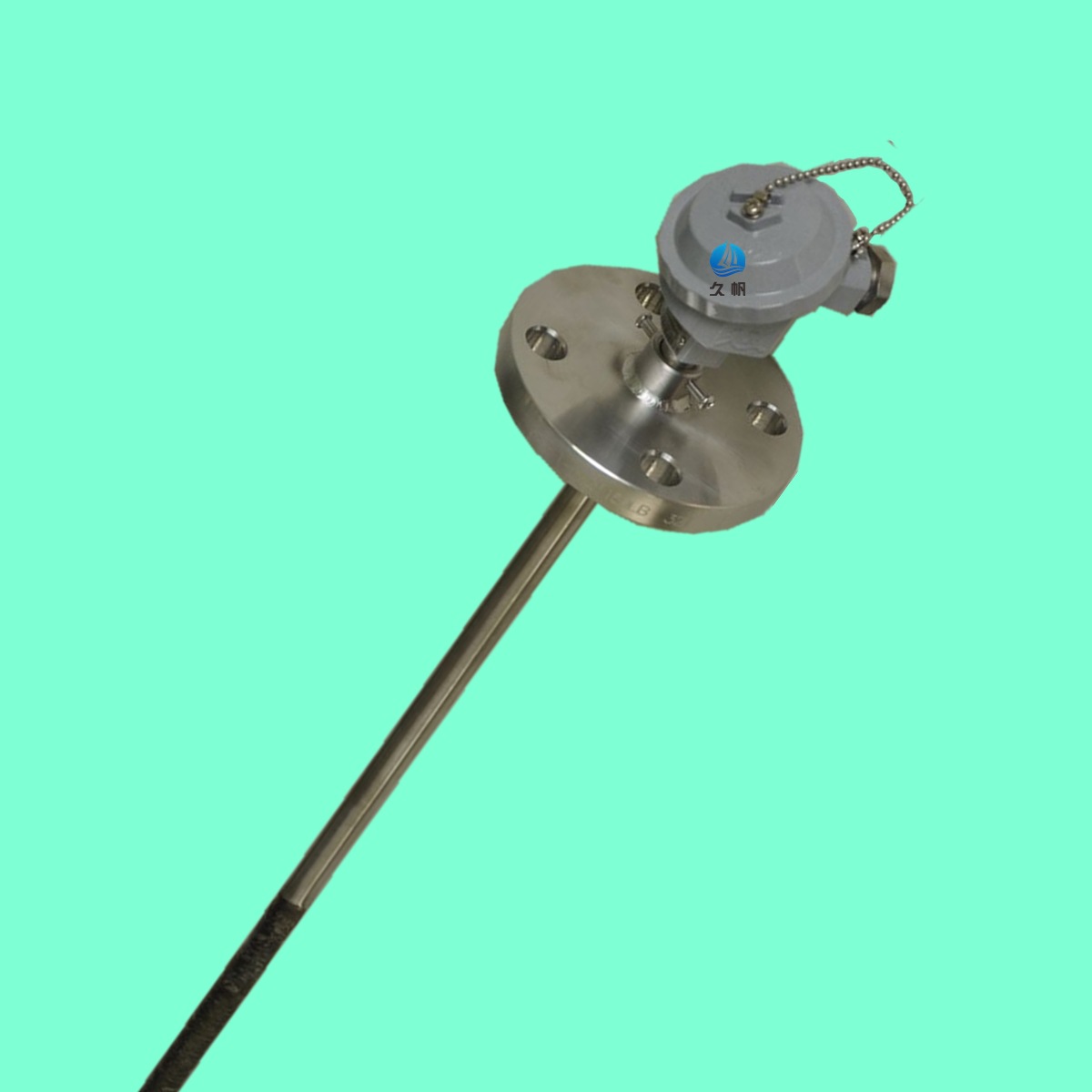 温度传感器 分度号S N K E PT100   铠装热电偶 双支 WRP2 261