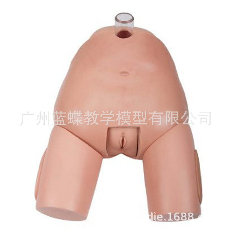 膀胱穿刺2