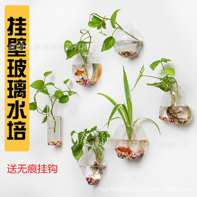 originality Hydroponic glass vase Hanging transparent Flowerpot Scindapsus Wall hanging Small fish tank Modern simplicity vase