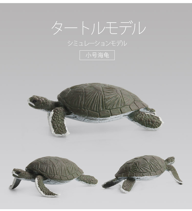 海龟模型_16