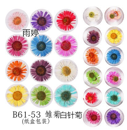 Nail Art Dried Flower Jewelry Phototherapy Crystal Armor Three-dimensional Dried Flower Haina Nail Oil Decoration 12 Color Size Real Flower