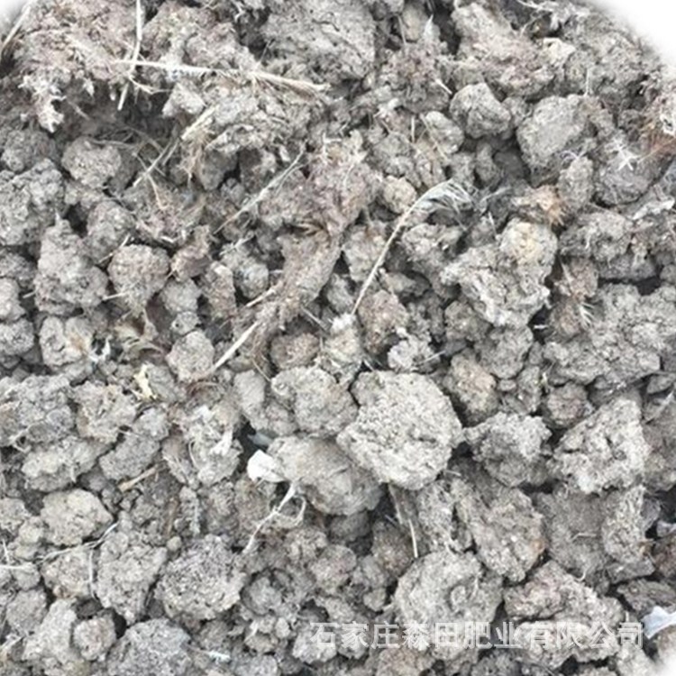 Manufactor supply Organic Fertilizer Drying chicken manure Fertilizer for fruit trees Welcome Caller Consultation