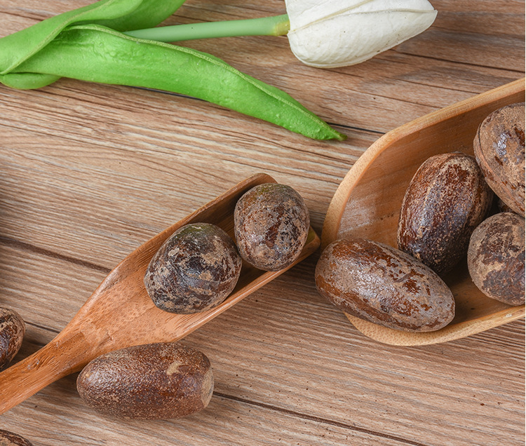 Chang Xiang Guo (Lanxangia tsaoko) — Dried Food-Herb Spice for Hot Pot & Braising quality and texture