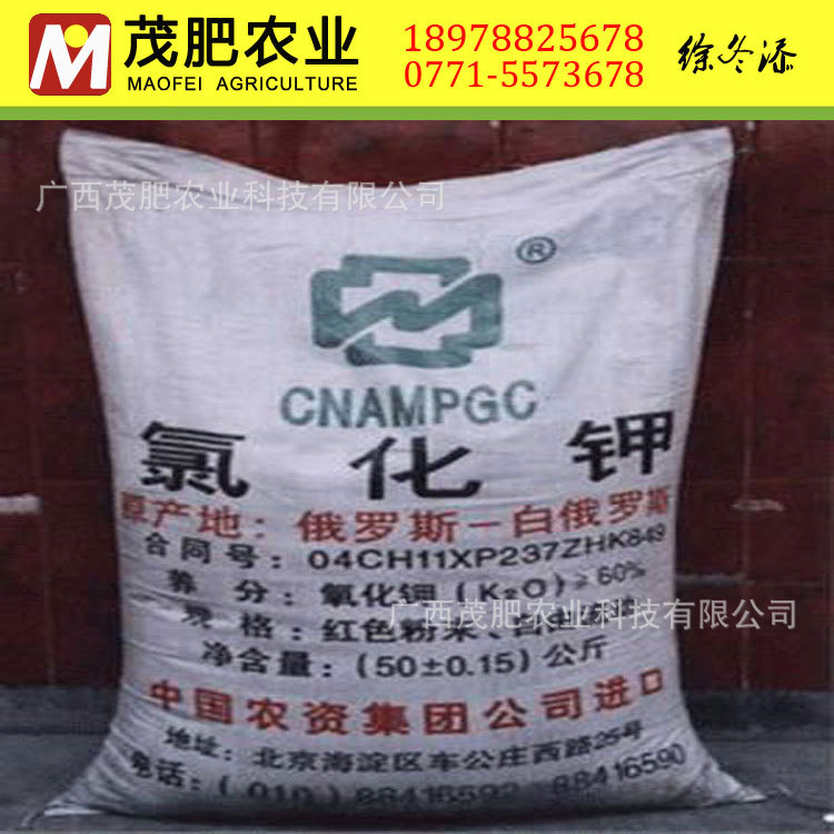 氯化钾 钾肥原料 广西区供应商 俄罗斯氯化钾 加拿大氯化钾